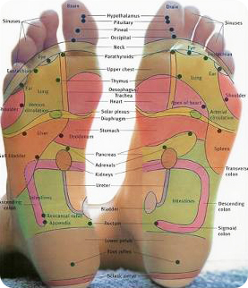 reflexology courses